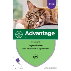 Advantage 2 X 4 Pipetten &#xC2, &#xAE, 80 Voor Katten Vanaf 4 Kg Dubbelpak