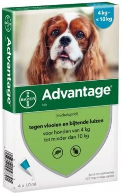 Advantage 100 Anti Vlooien En Teken Druppels Hond 4 10 Kg 4 Pipetten 1, 0 Ml -Dierenwinkel Met Korting advantage 100 anti vlo hond 4 10 kg 4 pipetten 10 ml 52163