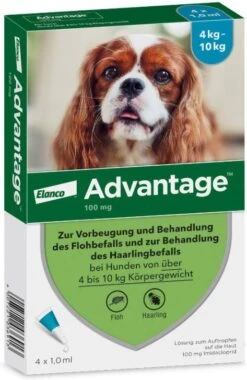 Advantage 100 Anti Vlooien En Teken Druppels Hond 4 10 Kg 4 Pipetten 1, 0 Ml -Dierenwinkel Met Korting advantage 4 pipetten 100 voor honden van 4 10kg 107791
