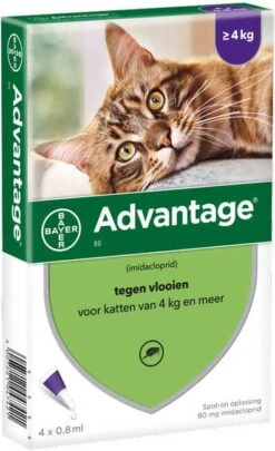 Advantage 2 X 4 Pipetten &#xC2, &#xAE, 80 Voor Katten Vanaf 4 Kg Dubbelpak -Dierenwinkel Met Korting advantage 4 pipetten en xc2 80 voor katten vanaf 4kg 109070