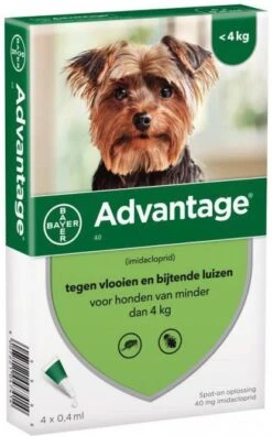 Advantage 2 X 4 Pipetten Â, ®, 40 Voor Honden Van Minder Dan 4 Kg Dubbelpak -Dierenwinkel Met Korting advantage 40 anti vlo hond tot 4 kg 4 pipetten 04 ml 45187