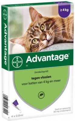 Advantage 2 X 4 Pipetten &#xC2, &#xAE, 80 Voor Katten Vanaf 4 Kg Dubbelpak -Dierenwinkel Met Korting advantage 80 anti vlo kat vanaf 4kg 4 pip 0 8ml 26562