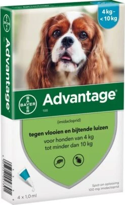Advantage 100 Anti Vlooien En Teken Druppels Hond 4 10 Kg 4 Pipetten 1, 0 Ml -Dierenwinkel Met Korting advantage hond 100 86584