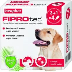 Beaphar Fiprotec Dog 3+1 Pip Anti Vlooien En Tekenmiddel 20 40kg Vanaf 12 Maanden