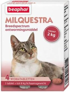 Beaphar Milquestra Ontwormingsmiddel Voor De Kat(tabletten)12 Tabletten -Dierenwinkel Met Korting beaphar milquestra grote kat 4 tabletten 44154