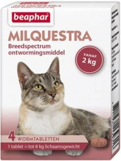 Beaphar Milquestra Ontwormingsmiddel Voor De Kat(tabletten)12 Tabletten -Dierenwinkel Met Korting beaphar milquestra wormmiddel kat 2 12kg 4 tab 25688
