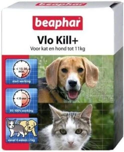 Beaphar 2x Vlo Kill Anti Vlooien Tabletten Hond 1 11 Kg 6 Tabletten -Dierenwinkel Met Korting beaphar vlo kill kat en hond 6 tabletten 4187