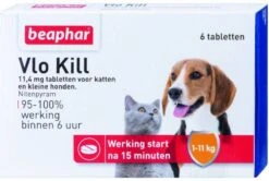 Beaphar 2x Vlo Kill Anti Vlooien Tabletten Hond 1 11 Kg 6 Tabletten -Dierenwinkel Met Korting beaphar vlo kill kleine hond kat 6 tabletten 45176