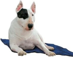 Animal Gear Europe GmbH Koel Ligmatten Voor Honden 11 Animal Gear Europe GmbH Koel Ligmatten Voor Honden -Dierenwinkel Met Korting de huisdiersuper koeldeken blauw 60x50cm 20147