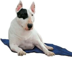 Animal Gear Europe GmbH Koel Ligmatten Voor Honden 12 Animal Gear Europe GmbH Koel Ligmatten Voor Honden -Dierenwinkel Met Korting de huisdiersuper koeldeken blauw 80x60cm 20145