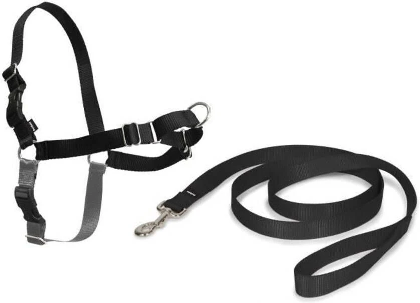 PetSafe Dobeno Easy Walk Harness S Zwart Honden 2 PetSafe Dobeno Easy Walk Harness S Zwart Honden - Afbeelding 2