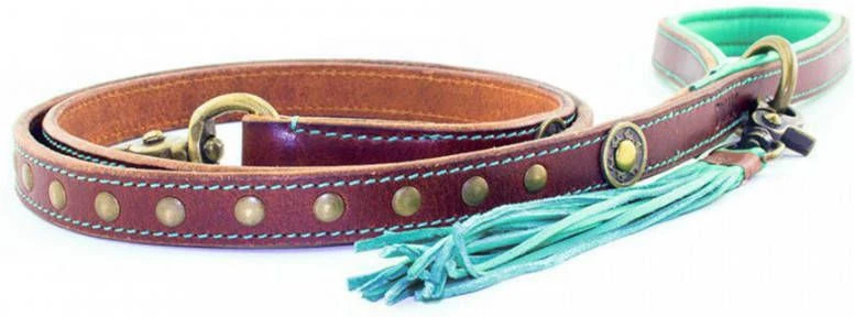 DWAM Ledere Looplijn Joe Bruin&Turquoise Hondenriem 135x2.5 Cm 3 DWAM Ledere Looplijn Joe Bruin&Turquoise Hondenriem 135x2.5 Cm - Afbeelding 3