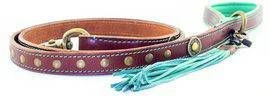 DWAM Ledere Looplijn Joe Bruin&Turquoise Hondenriem 135x2.5 Cm 2 DWAM Ledere Looplijn Joe Bruin&Turquoise Hondenriem 135x2.5 Cm - Afbeelding 2