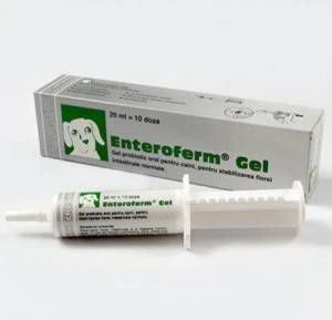 Enteroferm Gel Voor De Hond 2 X 20 Ml 1 Enteroferm Gel Voor De Hond 2 X 20 Ml