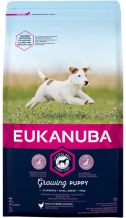 Eukanuba Puppy Small Breed Kip Hondenvoer Dubbelpak 2 X 3 Kg -Dierenwinkel Met Korting eukanuba dog growing puppy small 3 kg 66298