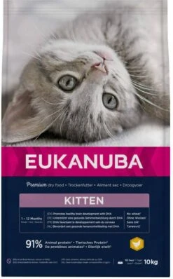 Eukanuba Healthy Start Kitten Kattenvoer Voordeelpakket 3 X 2 Kg 14 Eukanuba Healthy Start Kitten Kattenvoer Voordeelpakket 3 X 2 Kg -Dierenwinkel Met Korting eukanuba kitten healthy start 10kg 41917