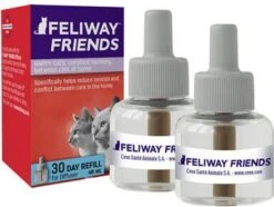 Feliway Friends Verdamper Voor De Kat Verdamper + Vulling 48 Ml -Dierenwinkel Met Korting feliway friends navulling duopack2 st 48 ml 46819