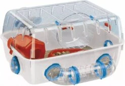 Ferplast Hamsterkooi Combi 1 Dierenverblijf 40.5x29.5x22.5 Cm Wit 7 Ferplast Hamsterkooi Combi 1 Dierenverblijf 40.5x29.5x22.5 Cm Wit -Dierenwinkel Met Korting ferplast hamsterkooi combi 1 405x295x225 cm wit 57923499 150972