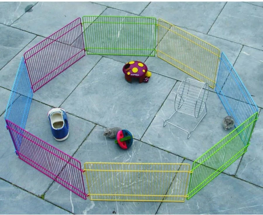 Flamingo 8 Delige Kleine Dierenren 84, 5x23 Cm Meerkleurig 2 Flamingo 8 Delige Kleine Dierenren 84, 5x23 Cm Meerkleurig - Afbeelding 2