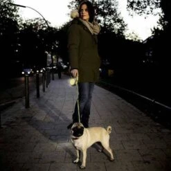 Flexi Rollijn New Classic NeonKoord Hondenriem 5 M Zwart Geel -Dierenwinkel Met Korting flexi lijn new classic neon s koort 5m max 12kg 12045