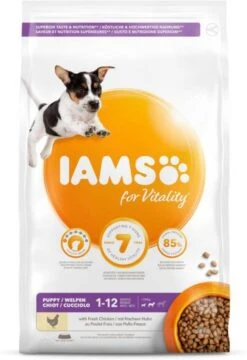 Iams 2x12kg For Vitality Dog Puppy & Junior Small/Medium Kip Hondenvoer -Dierenwinkel Met Korting iams dog puppy junior small medium kip 3 kg 65857