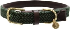 KENTUCKY DOGWEAR Nylon Gevlochten M Olive Green 50 Cm 7 KENTUCKY DOGWEAR Nylon Gevlochten M Olive Green 50 Cm -Dierenwinkel Met Korting kentucky horsewear kentucky gevlochten nylon hondenhalsband 56492