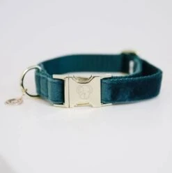KENTUCKY DOGWEAR Velvet XS Emerald 9 KENTUCKY DOGWEAR Velvet XS Emerald -Dierenwinkel Met Korting kentucky horsewear kentucky hondenhalsband velvet 67267