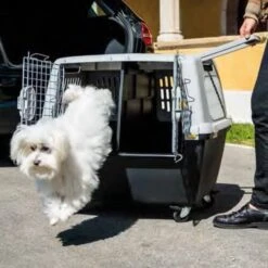 KERBL TRIXIE L 104 X B 73 X H 75 Cm Hondenbench Kunststof Gulliver -Dierenwinkel Met Korting kerbl wielenset 4 stuks 21048