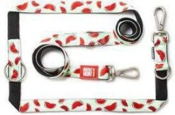 Max & Molly Multifunctionele Hondenlijn Watermelon200cm Lang 15mm Breed