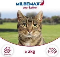 Milbemax Ontworming Tabletten Grote Kat 2 12 Kg 2 X 2 Tabletten