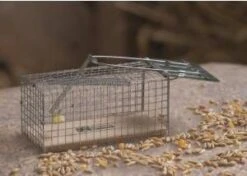 Nature Rattenval Humaan 27, 5x9, 5x9, 5 Cm 6060105 -Dierenwinkel Met Korting nature rattenkooi draadmodel 505