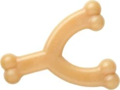 Dierenwinkel Met Korting -Dierenwinkel Met Korting nylabone wishbone kauwspeelgoed met kippensmaak grootte m l 15 x b 12 x h 2 5 cm 148662