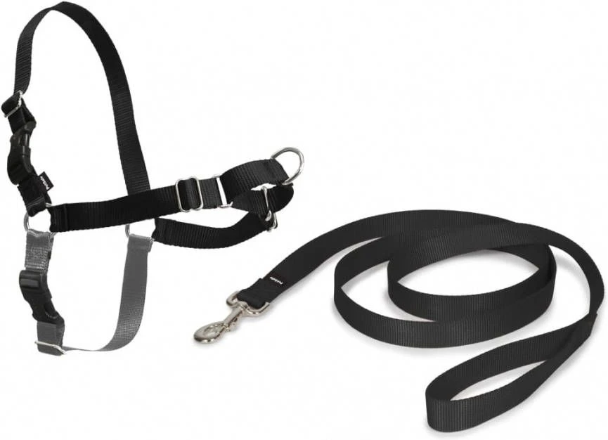 PetSafe VidaXL Easy Walk Xl Harnas Zwart Honden 3 PetSafe VidaXL Easy Walk Xl Harnas Zwart Honden - Afbeelding 3