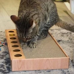 Quapas! Kattenkrabber Vote 30x26x15 Cm -Dierenwinkel Met Korting quapas funny 23887