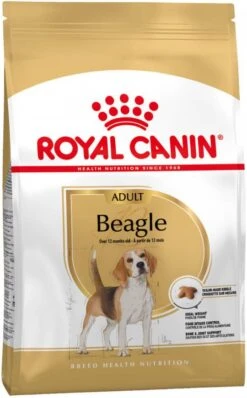 Royal Canin Beagle Adult Hondenvoer Dubbelpak 2 X 12 Kg -Dierenwinkel Met Korting royal canin breed 12 kg beagle adult hondenvoer 107696