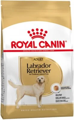 Royal Canin Breed 2x12kg Labrador Retriever Adult Hondenvoer -Dierenwinkel Met Korting royal canin breed 12kg labrador retriever adult hondenvoer 106830