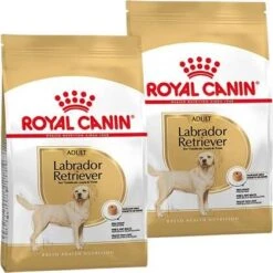 Royal Canin Breed 2x12kg Labrador Retriever Adult Hondenvoer -Dierenwinkel Met Korting royal canin breed royal canin adult labrador retriever hondenvoer 2 x 12 kg 179