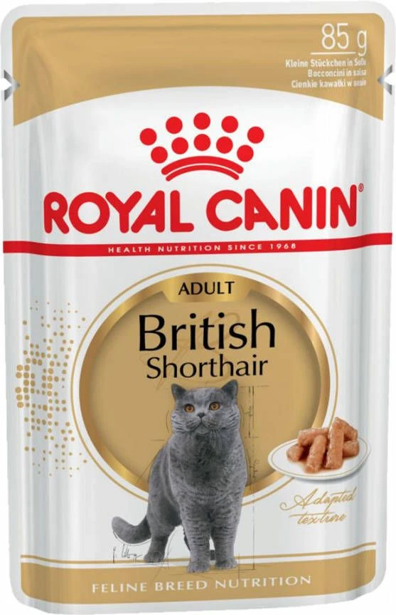 Royal Canin British Shorthair Adult Kattenvoer Bestel Ook Natvoer 12 X 85 G British Shorthair 4 Royal Canin British Shorthair Adult Kattenvoer Bestel Ook Natvoer 12 X 85 G British Shorthair - Afbeelding 4