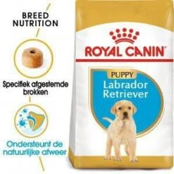 Royal Canin Breed 2x12kg Labrador Retriever Puppy Hondenvoer 11 Royal Canin Breed 2x12kg Labrador Retriever Puppy Hondenvoer -Dierenwinkel Met Korting royal canin breed royal canin puppy labrador retriever hondenvoer 3 kg 9774