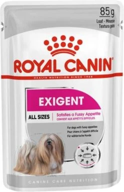 Royal Canin Exigent Mini Hondenvoer Bestel Ook Natvoer 12 X 85 G Royal Canin Exigent