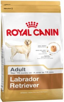 Royal Canin Breed 2x12kg Labrador Retriever Adult Hondenvoer -Dierenwinkel Met Korting royal canin labrador retriever adult 3 kg 43439