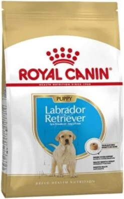 Royal Canin Breed 2x12kg Labrador Retriever Puppy Hondenvoer 17 Royal Canin Breed 2x12kg Labrador Retriever Puppy Hondenvoer -Dierenwinkel Met Korting royal canin labrador retriever junior 12 kg 41656