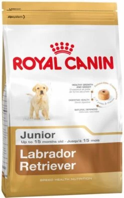 Royal Canin Breed 2x12kg Labrador Retriever Puppy Hondenvoer 15 Royal Canin Breed 2x12kg Labrador Retriever Puppy Hondenvoer -Dierenwinkel Met Korting royal canin labrador retriever puppy 12 kg 42640