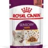 Royal Canin 36 + 12 Gratis! 48 X 85 G Kattenvoer Taste In Saus Kattenvoer