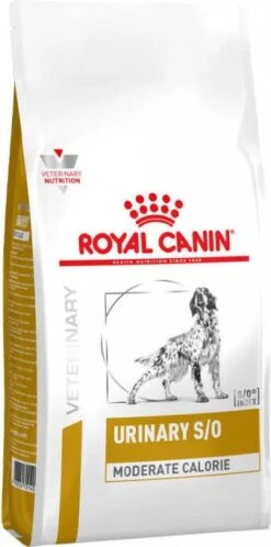 Royal Canin Veterinary Diet Urinary S/O Moderate Calorie Hondenvoer 1.5 Kg -Dierenwinkel Met Korting royal canin urinary so moderate calorie hond 1 5 kg 42886