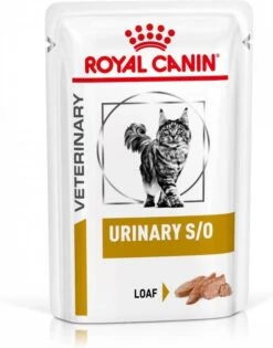 Royal Canin Veterinary Urinary S/O Combi Morsels In Gravy + Loaf Zakjes Kattenvoer 24 Loaf + 24 Morsels In Gravy 11 Royal Canin Veterinary Urinary S/O Combi Morsels In Gravy + Loaf Zakjes Kattenvoer 24 Loaf + 24 Morsels In Gravy -Dierenwinkel Met Korting royal canin veterinary diet 12x85g urinary so mousse kattenvoer 108739