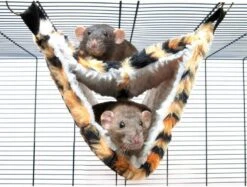 Savic Hangmat Relax De Luxe Fake Fur 35x21x21cm -Dierenwinkel Met Korting savic hangmat relax de luxe fake fur 35x21x21cm 106860