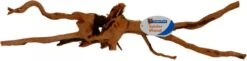 SuperFish Spiderwood Bruin Aquarium Ornament Xlarge 6 SuperFish Spiderwood Bruin Aquarium Ornament Xlarge -Dierenwinkel Met Korting spiderwood x large aquaria 565792