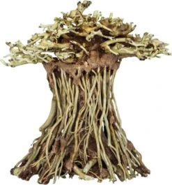 SuperFish Bonsai Mushroom Aquarium Ornament Small