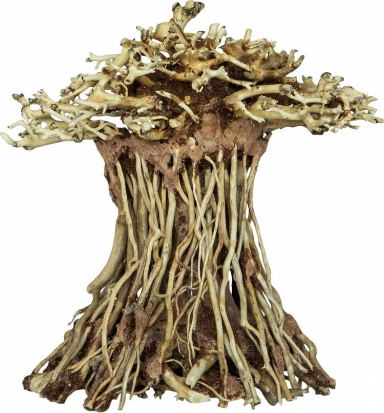SuperFish Bonsai Mushroom Aquarium Ornament Small 2 SuperFish Bonsai Mushroom Aquarium Ornament Small - Afbeelding 2
